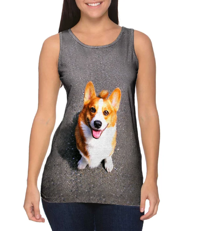 Huggable Corgi